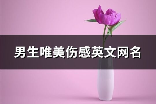 男生唯美伤感英文网名(精选138个)