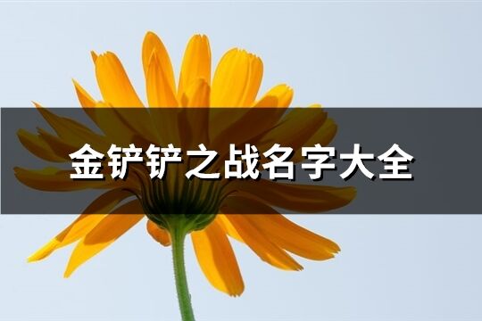 金铲铲之战名字大全(212个)