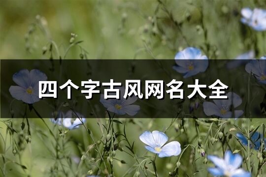 四个字古风网名大全(优选977个)