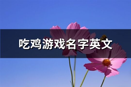 吃鸡游戏名字有哪些 (吃鸡游戏名字女)