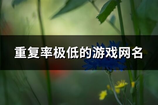 重复率极低的游戏网名(优选202个)