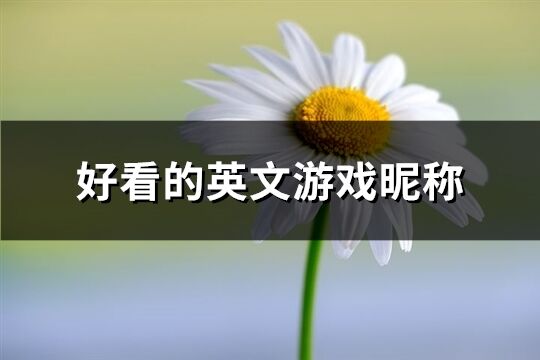 好看的英文游戏昵称(共105个)