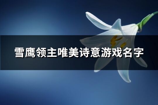 雪鹰领主唯美诗意游戏名字(优选474个)