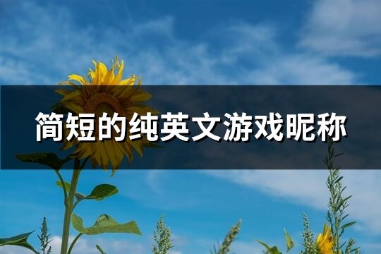 简短的纯英文游戏昵称(精选105个)