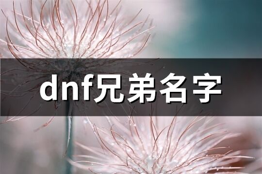 dnf兄弟名字(优选61个)