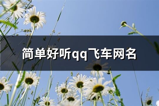 简单好听qq飞车网名(397个)