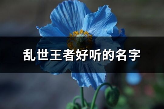 乱世王者好听的名字(优选172个)