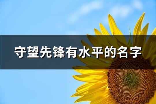 守望先锋有水平的名字(优选284个)