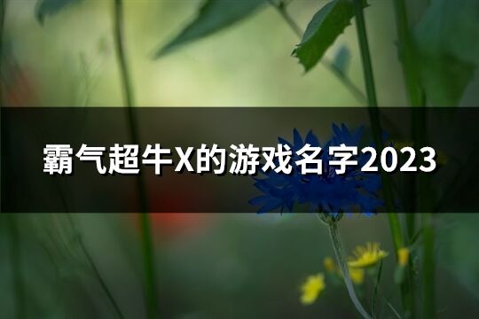 霸气超牛X的游戏名字2023(89个)