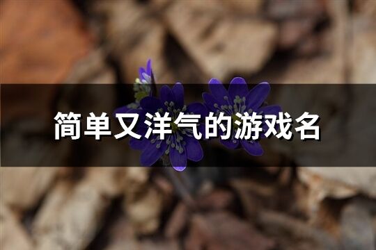 简单又洋气的游戏名(190个)