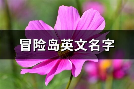 冒险岛英文名字(精选76个)