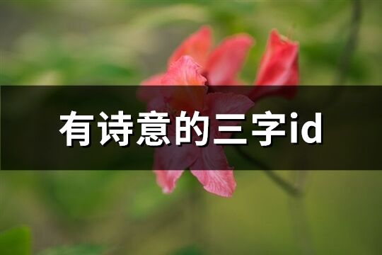 有诗意的三字id(优选979个)