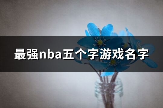 最强nba五个字游戏名字(共689个)