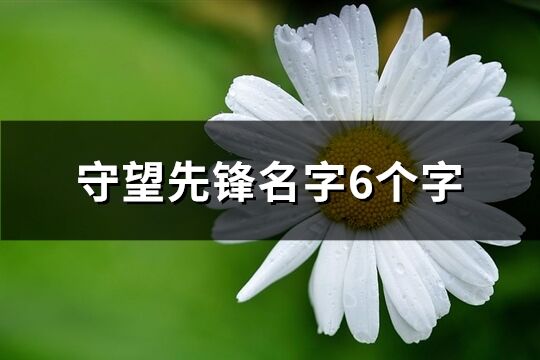 守望先锋名字6个字(407个)