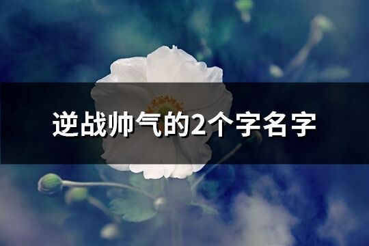 逆战帅气的2个字名字(精选284个)