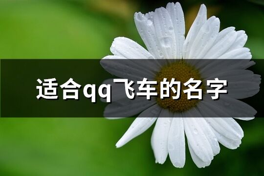 适合qq飞车的名字(精选627个)