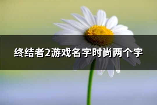 终结者2游戏名字时尚两个字(397个)