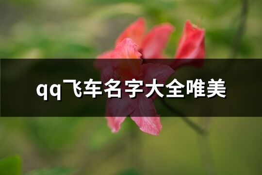 qq飞车名字大全唯美(优选176个)