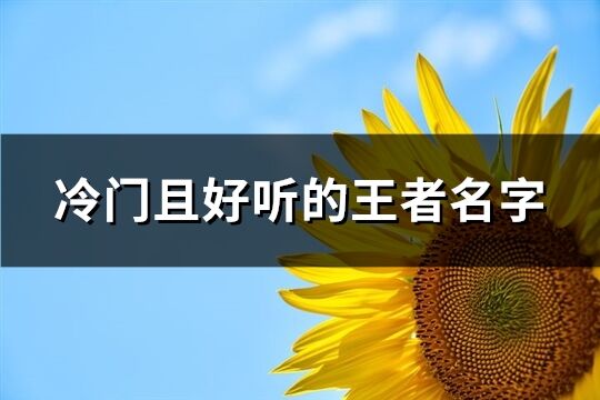 冷门且好听的王者名字(精选195个)