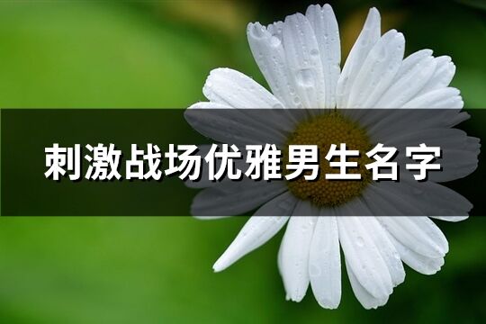 刺激战场优雅男生名字(精选290个)