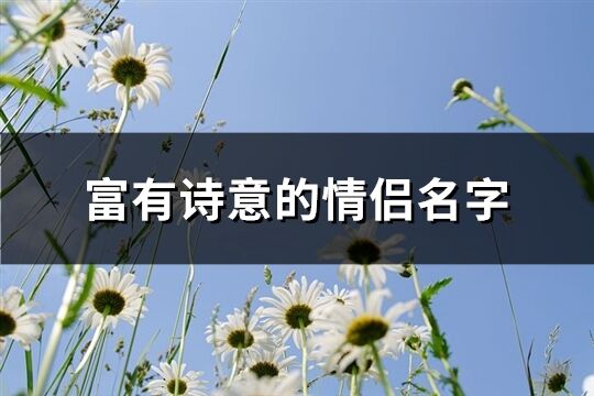 富有诗意的情侣名字(101个)