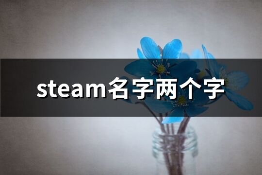 steam名字两个字(优选78个)