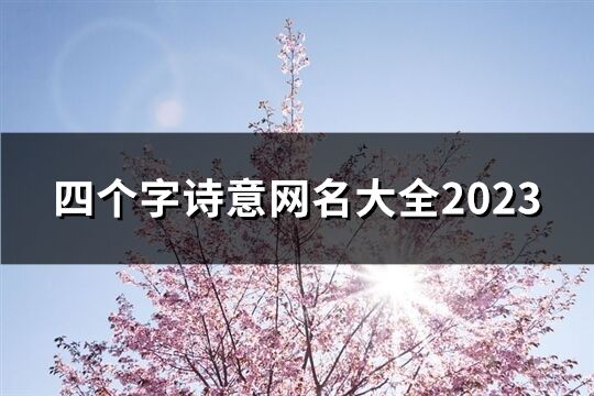 四个字诗意网名大全2023(53个)