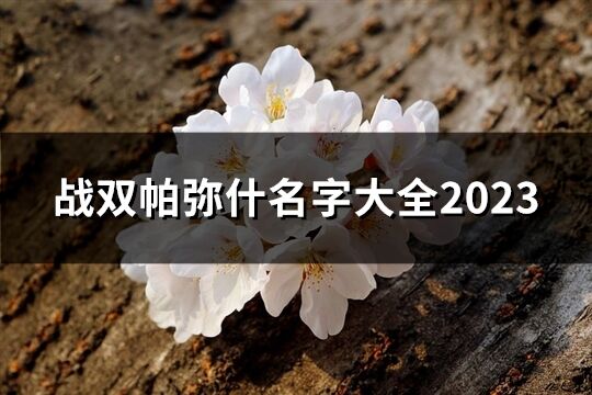 战双帕弥什名字大全2023(精选268个)