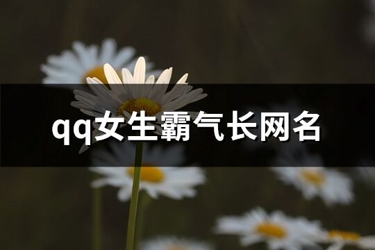 qq女生霸气长网名