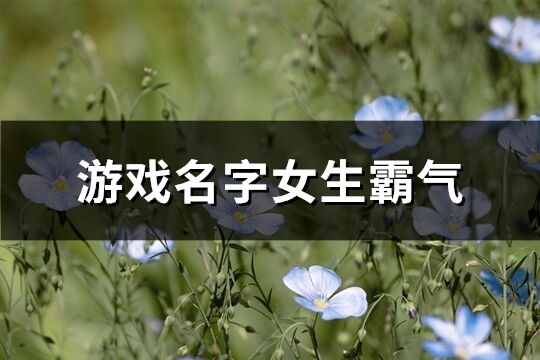 游戏名字女生霸气(453个)