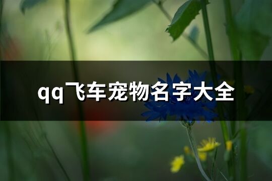 qq飞车宠物名字大全(优选336个)