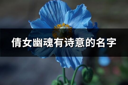 倩女幽魂有诗意的名字(优选333个)