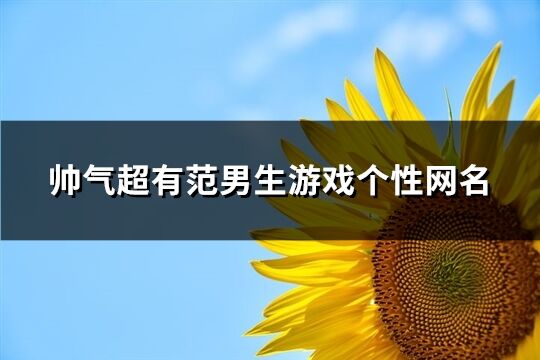 帅气超有范男生游戏个性网名(232个)