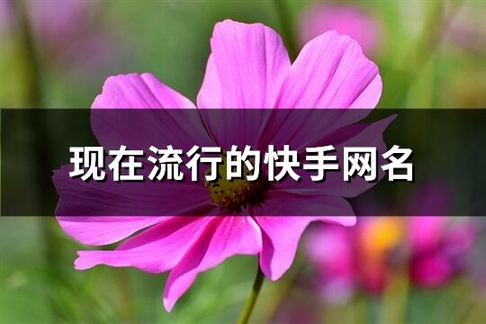 现在流行的快手网名(共1019个)