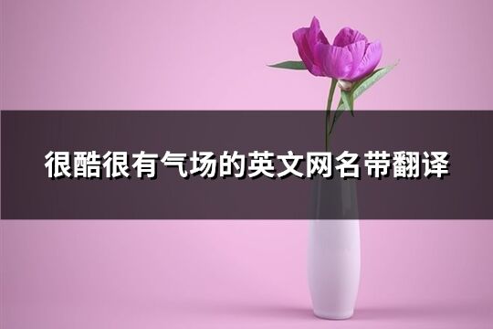 很酷很有气场的英文网名带翻译(精选64个)