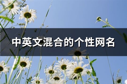 中英文混合的个性网名(166个)