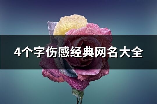 4个字伤感经典网名大全(264个)