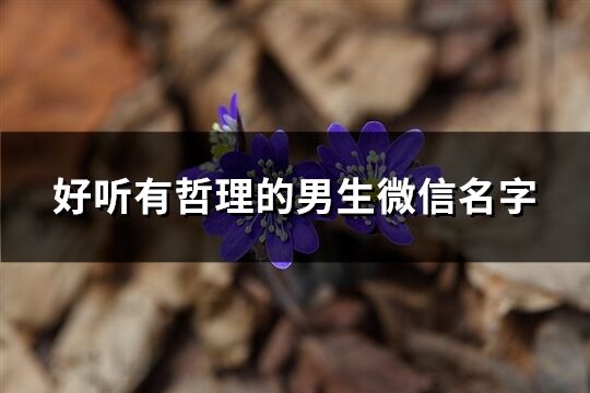 好听有哲理的男生微信名字(精选364个)