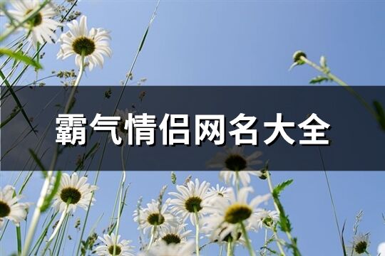 霸气情侣网名大全(321个)