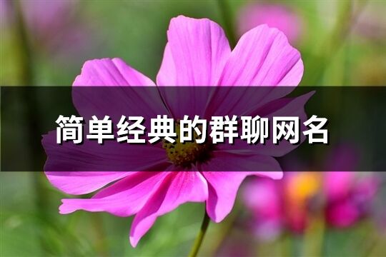 简单经典的群聊网名(优选265个)