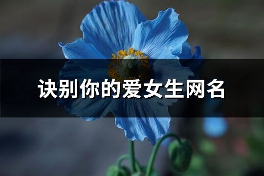 诀别你的爱女生网名(共190个)