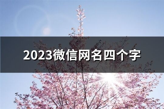 2023微信网名四个字(共1096个)