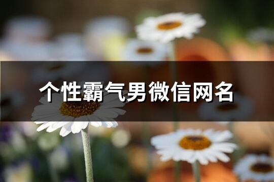 个性霸气男微信网名(优选363个)