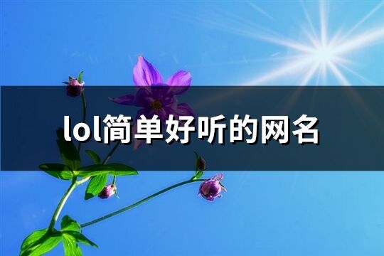 lol简单好听的网名(优选897个)