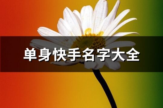 单身快手名字大全(精选149个)