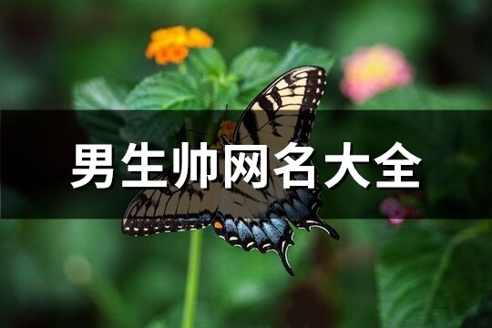 男生帅网名大全(共842个)