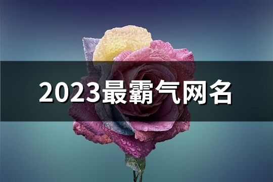 2023最霸气网名(精选886个)