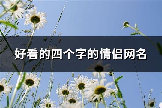 好看的四个字的情侣网名(优选724个)