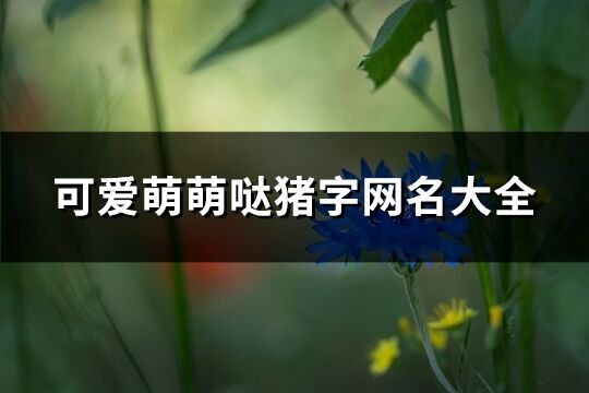 可爱萌萌哒猪字网名大全(81个)