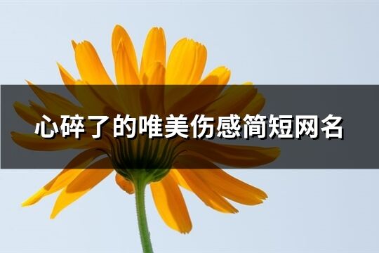 心碎了的唯美伤感简短网名(优选669个)